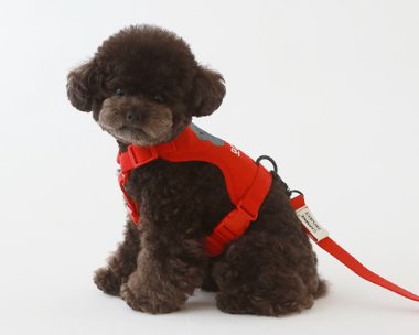 Macaron custom harness(RED)
