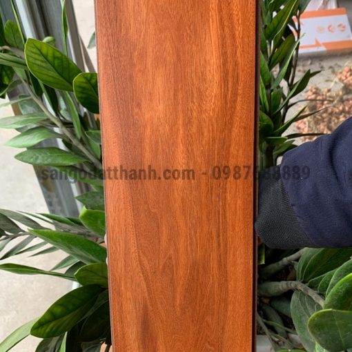 Sàn gỗ Moonfloor 8mm 8003